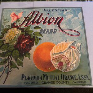 Authentic Citrus Farm Crate Label Allion